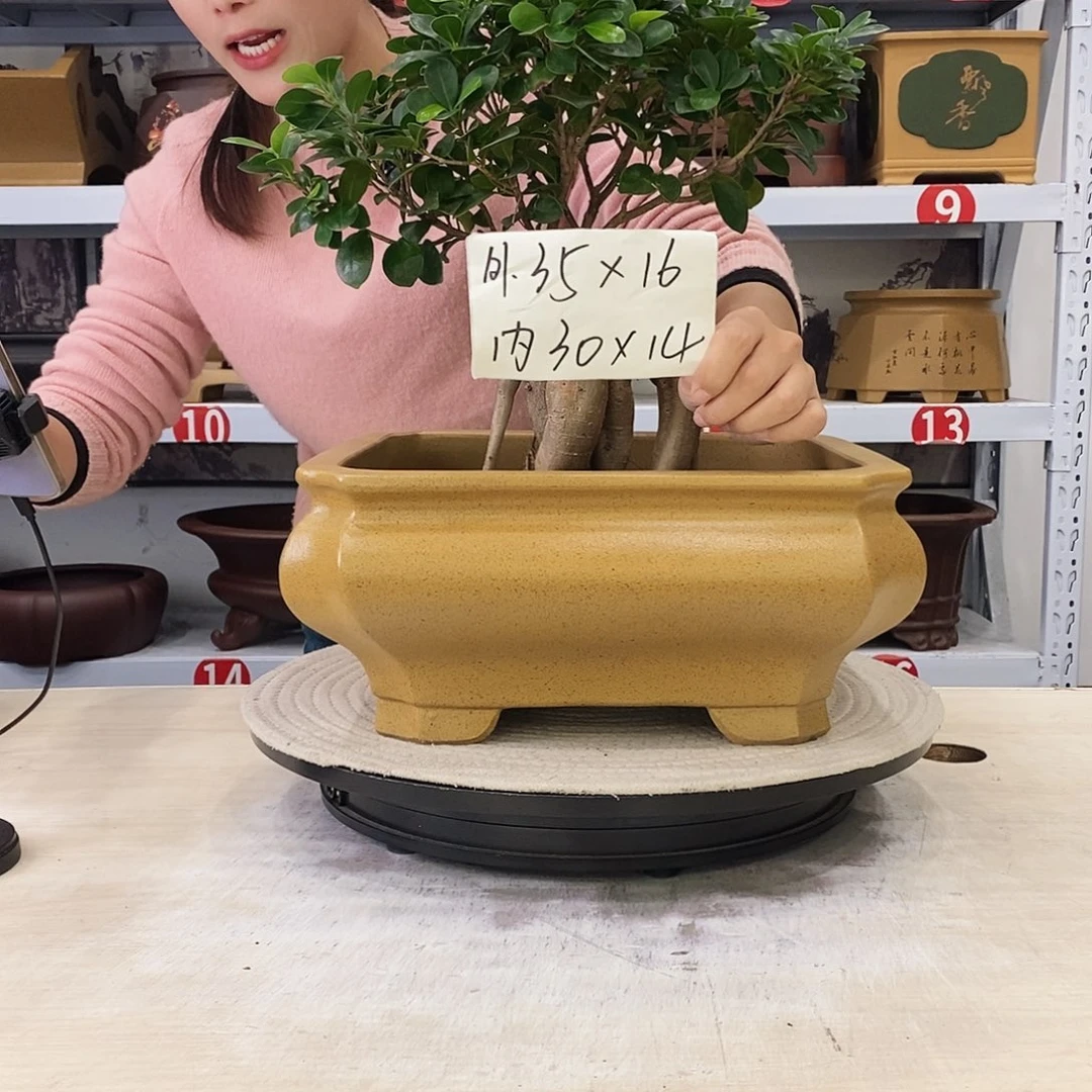 花盆紫砂紫砂花盆