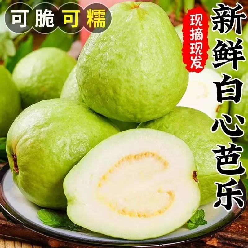 【抢一整箱】广西白心奶油番石榴软糯香甜新鲜现摘当季儿童孕妇水果