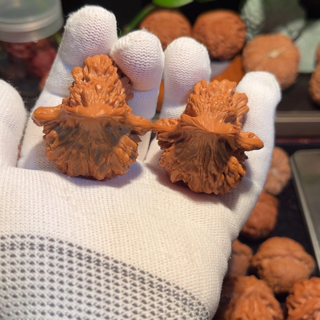 【闪购商品】文玩核桃把件鸟核桃全品