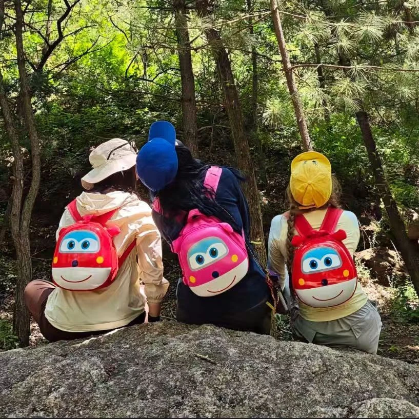 登山自行车卡通双肩包超级飞侠乐迪书包女孩可爱背包收纳盒pp