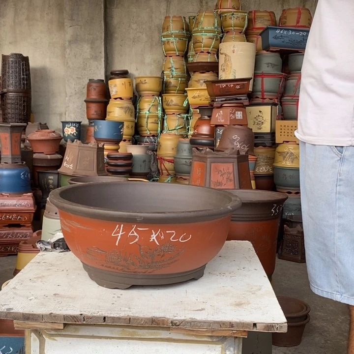 紫砂花盆盆栽花卉种植