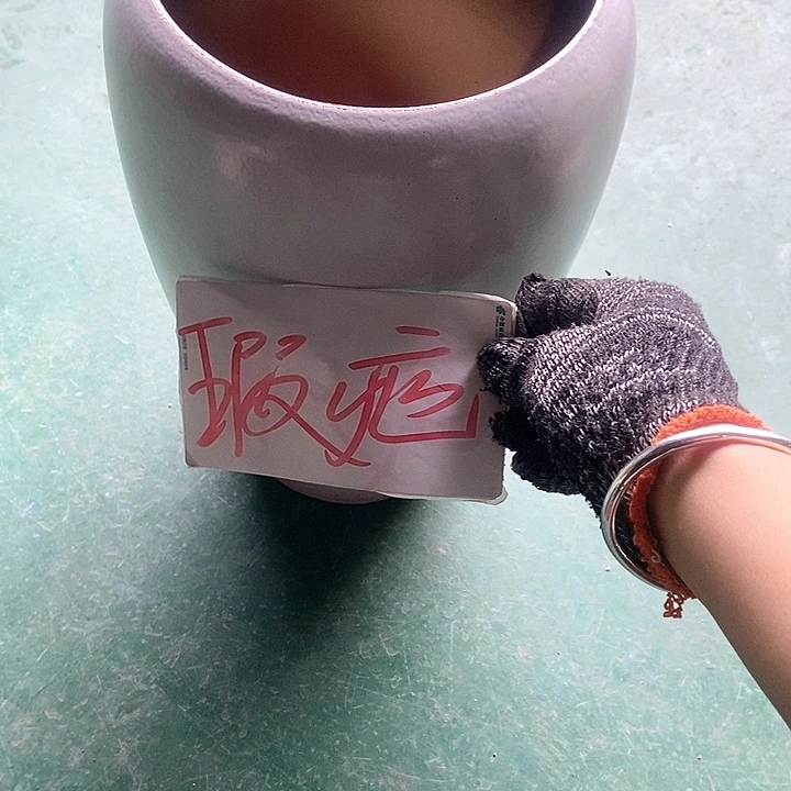 红陶口18。高32。。。。