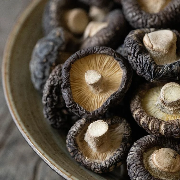 海伶山珍 | 金钱小香菇250g煲汤鲜美