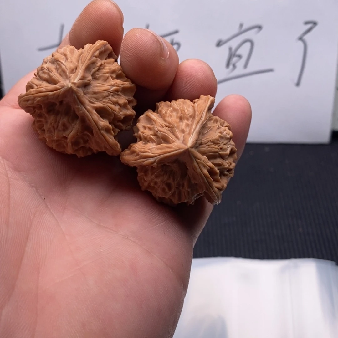 核桃哈哈哈哈哈哈哈哈哈哈