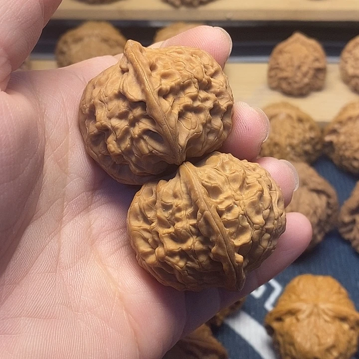 核桃41全品蓟县元宝