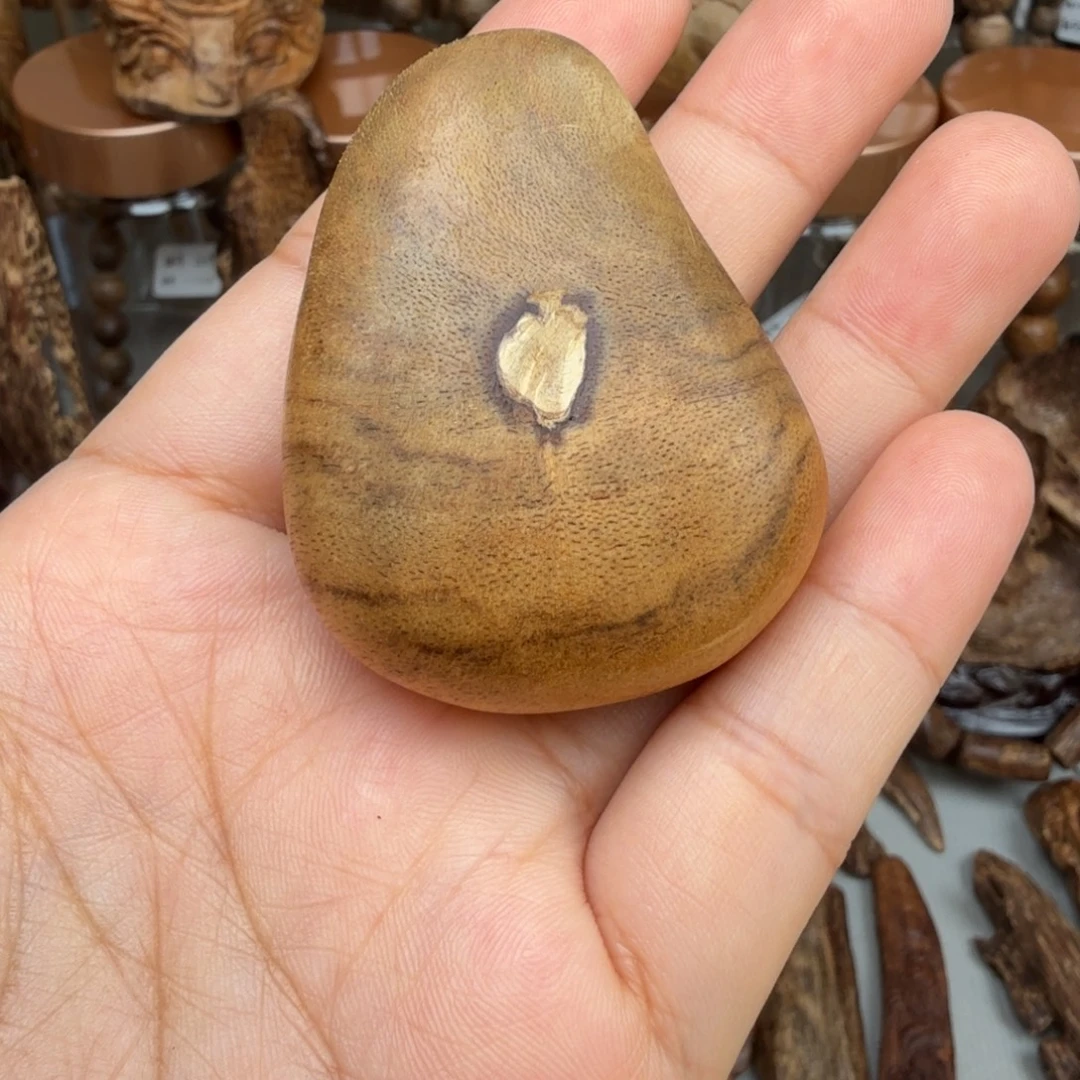 沉香碎屑沉香惠安手把件 9.3 克