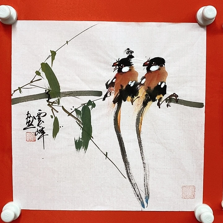 国画开播福利，全场福利。