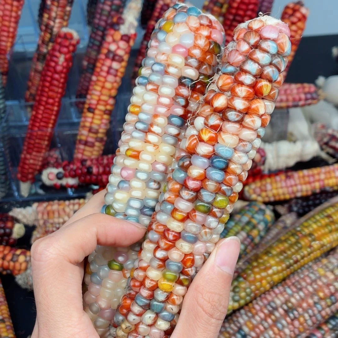 来***福吊坠白玉菩提文玩精品文玩精品