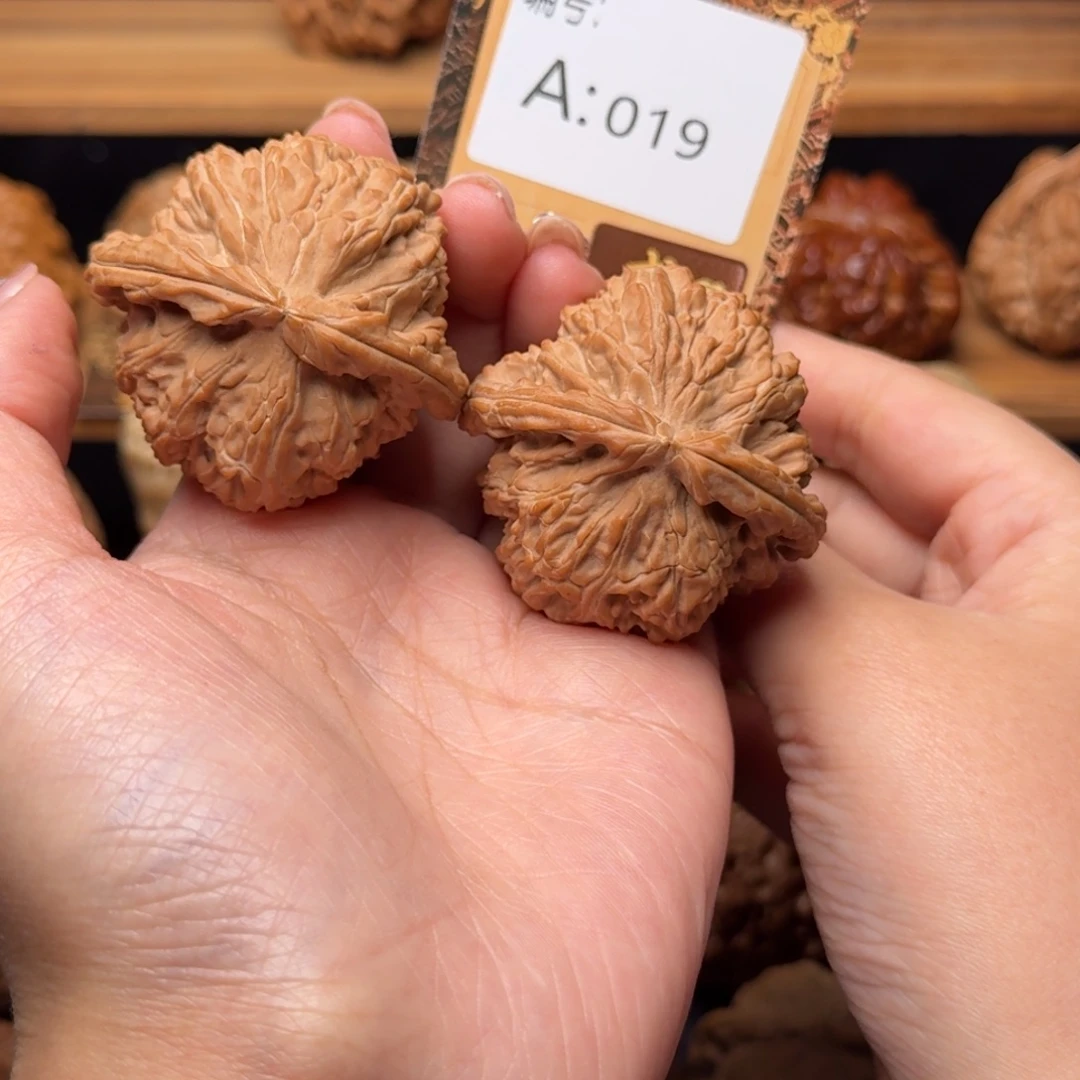 核桃a019白狮子4.7修