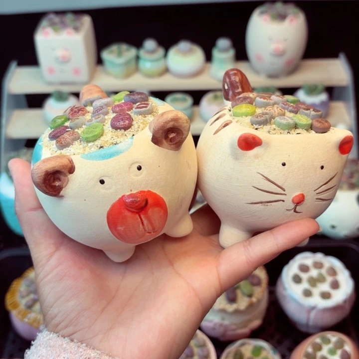 福利7026零下地区记得拍保温箱