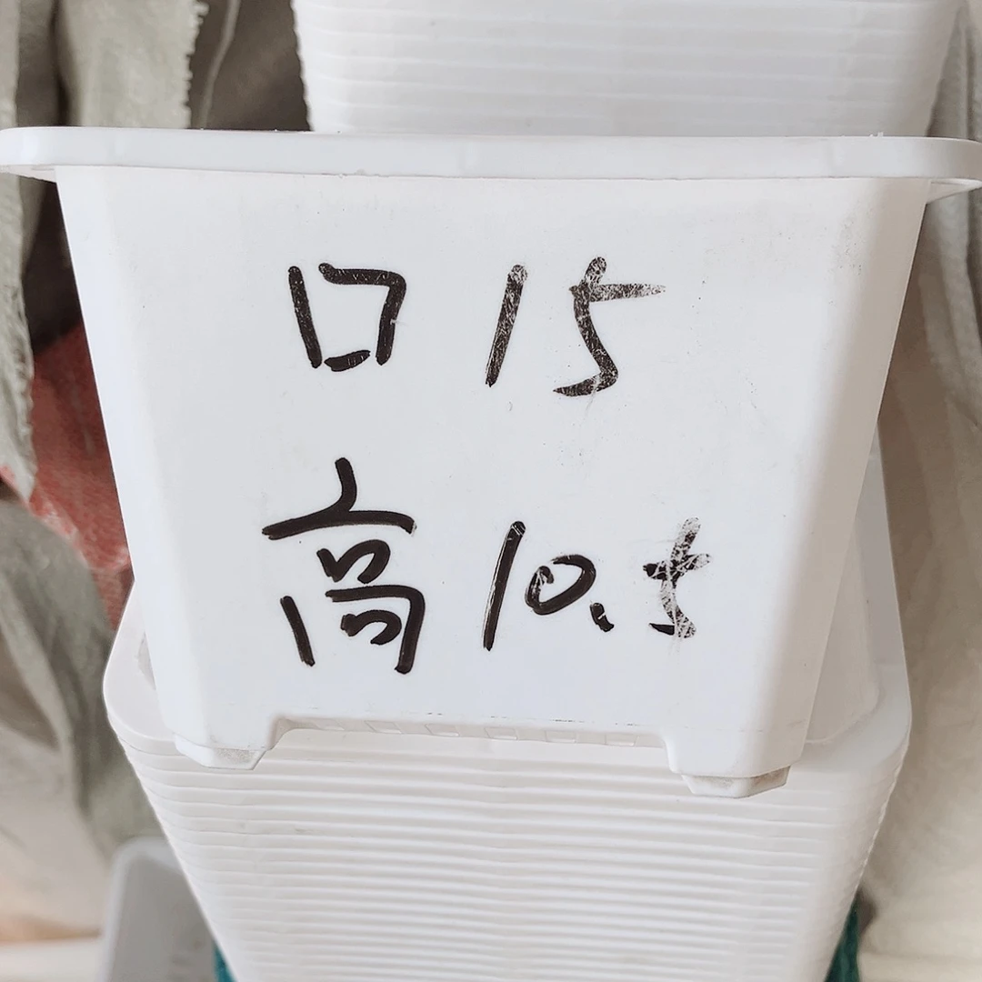 塑料福利款15方白色盆20个无托