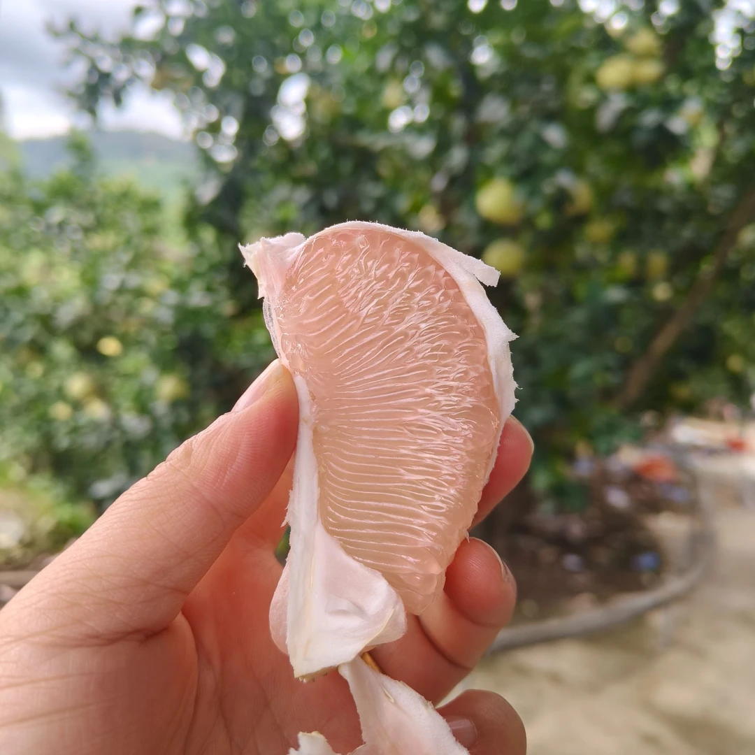 福建仙游度尾文旦柚花皮丑果皮厚肉嫩多汁新鲜应季孕妇水果
