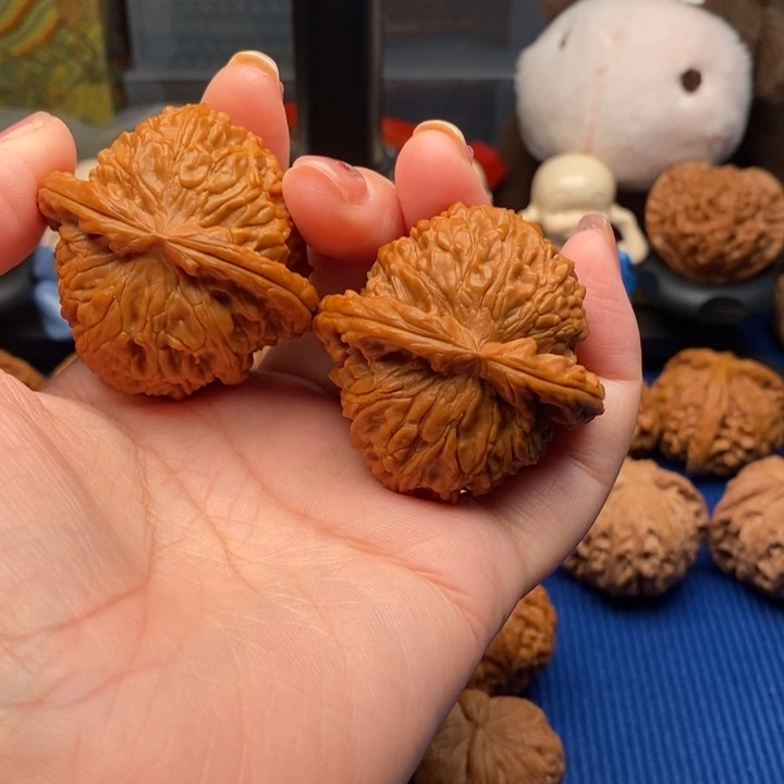 核桃45尺全品大闷白