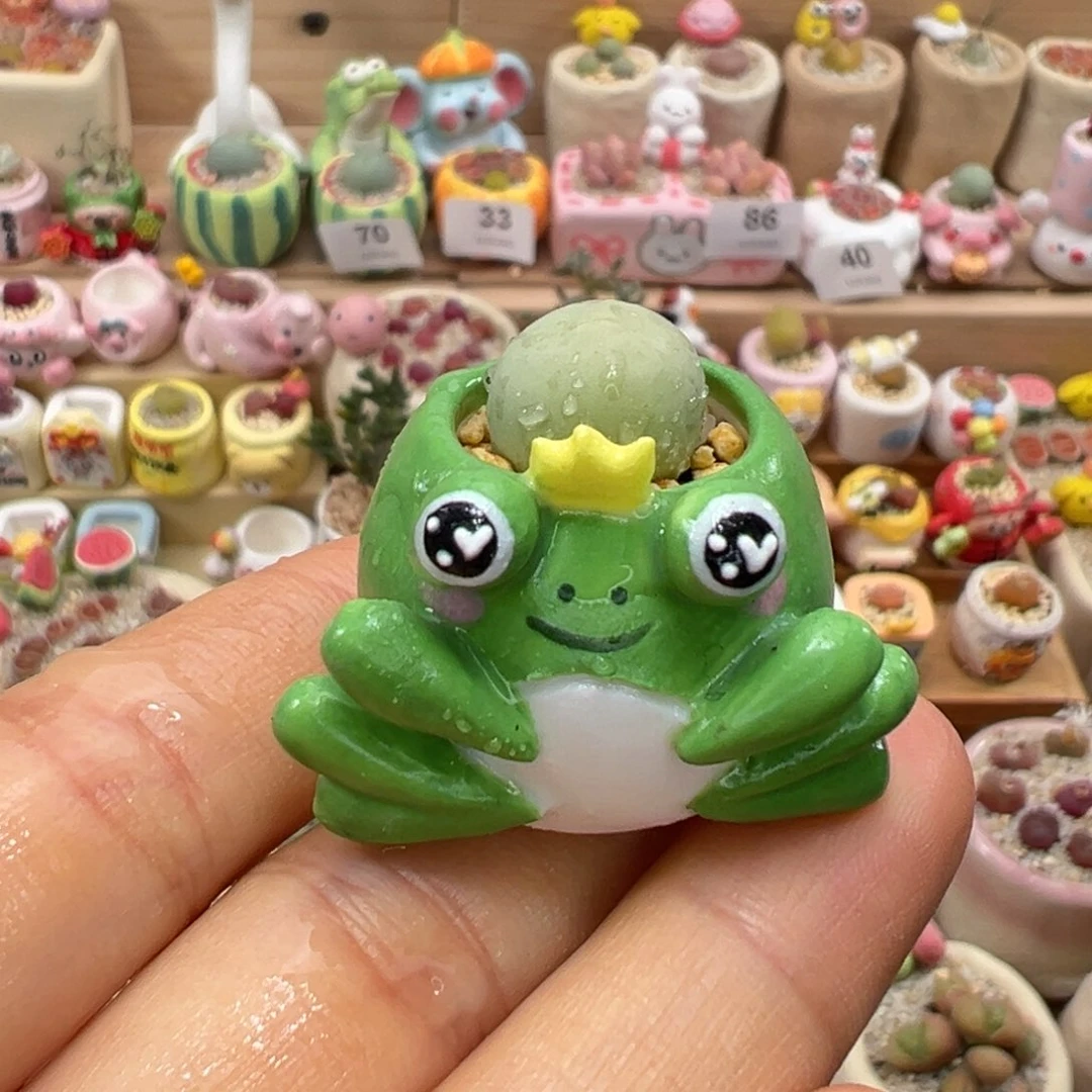 多肉植物89号拇指盆