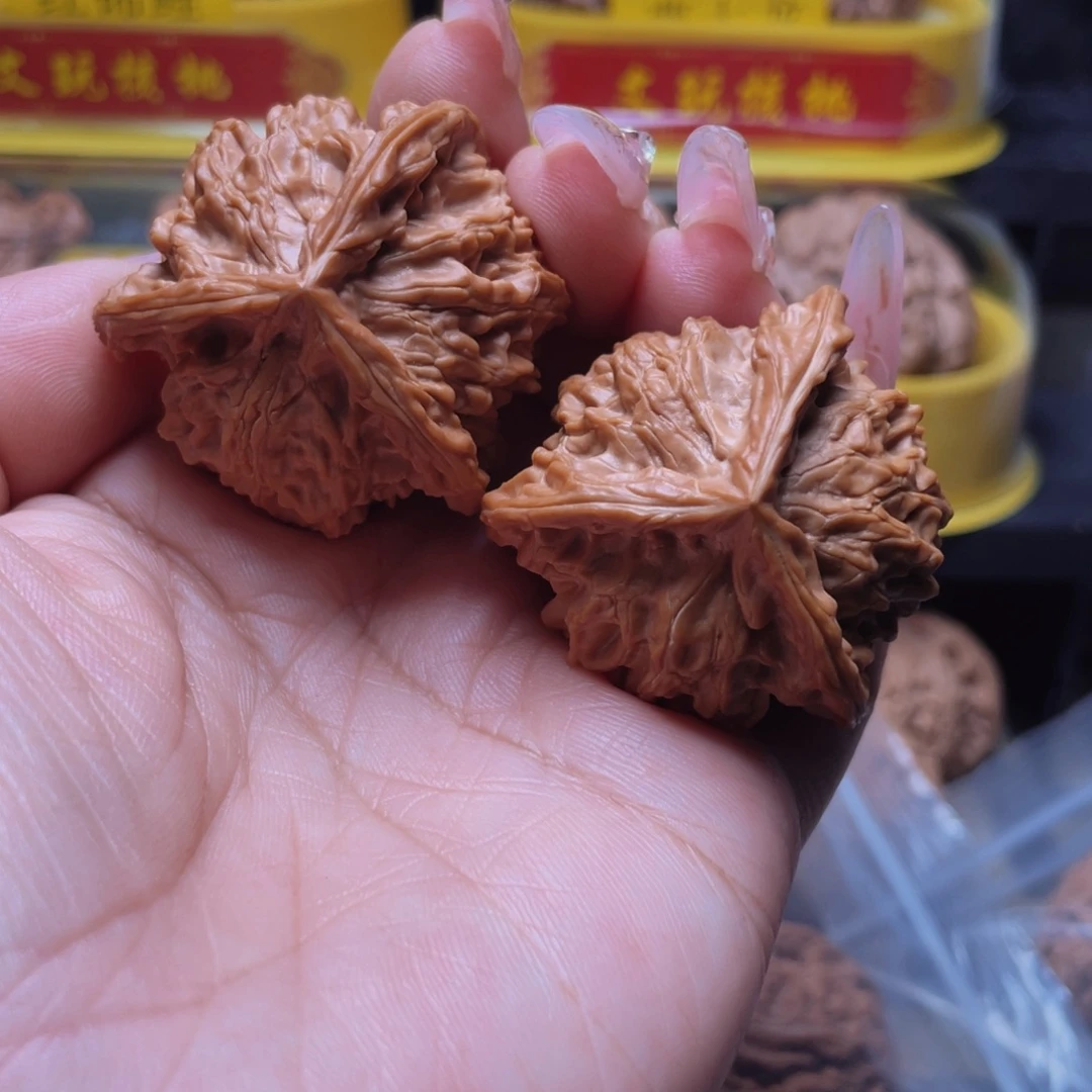 核桃41盘山公子帽三棱