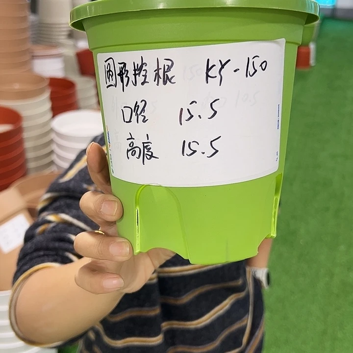 正品圆控口15高15果绿无托10只