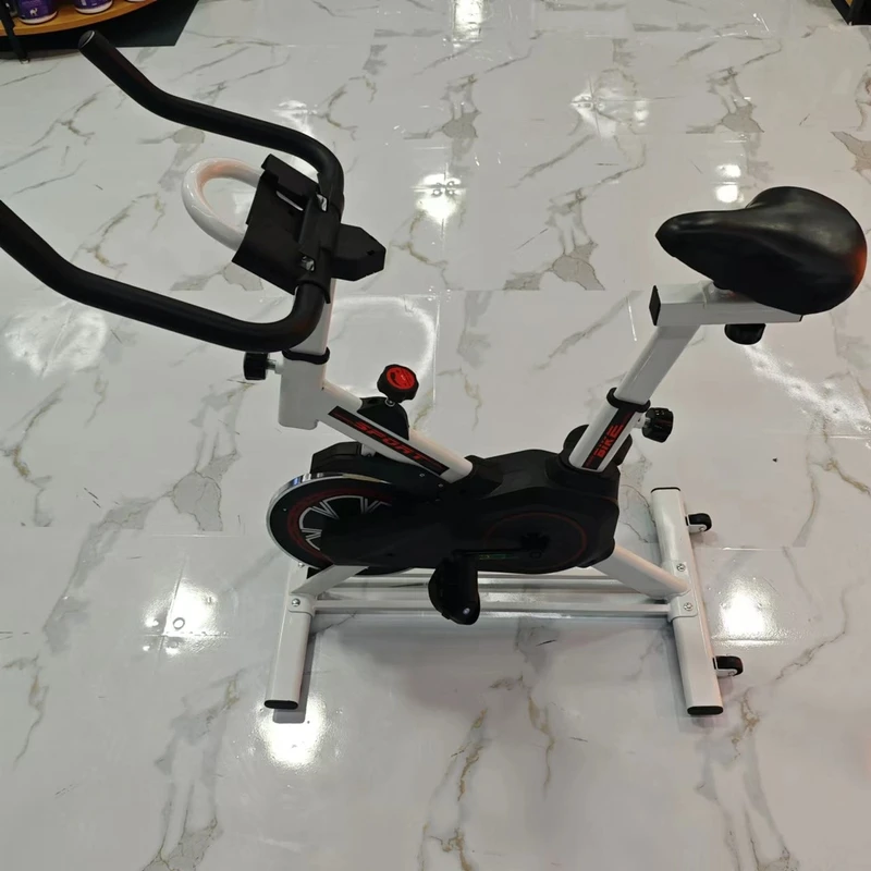 动感单车家用自行车健身房专用运动器材脚踏小型静音锻炼