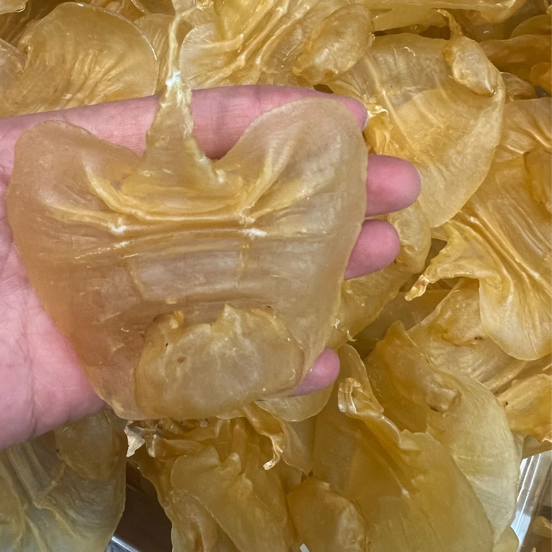 培辉堂32-33 赤嘴公 花胶