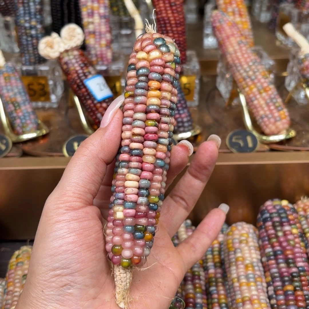 柏香籽/百香籽吊坠m*m