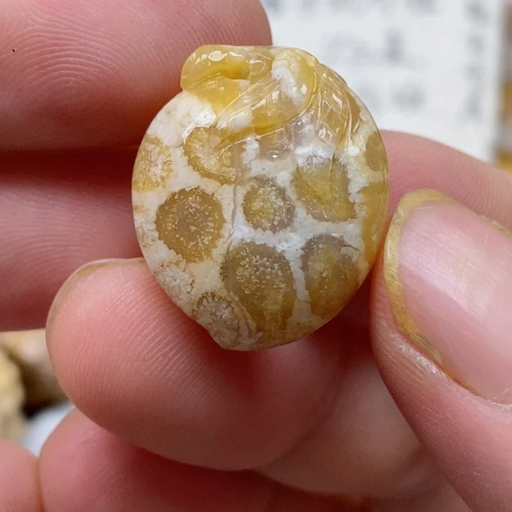 颈饰未镶嵌硅化珊瑚（珊瑚玉）有瑕 小