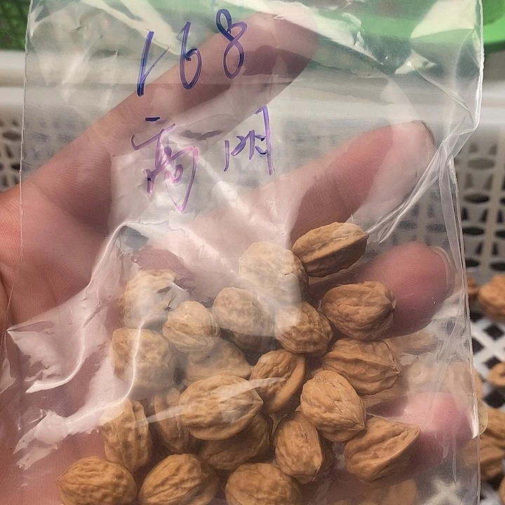 吊坠猴头核桃嵩山蛤蟆
