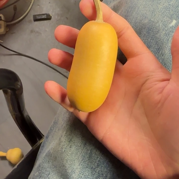 不***受大叶紫檀（黑酸枝木类）