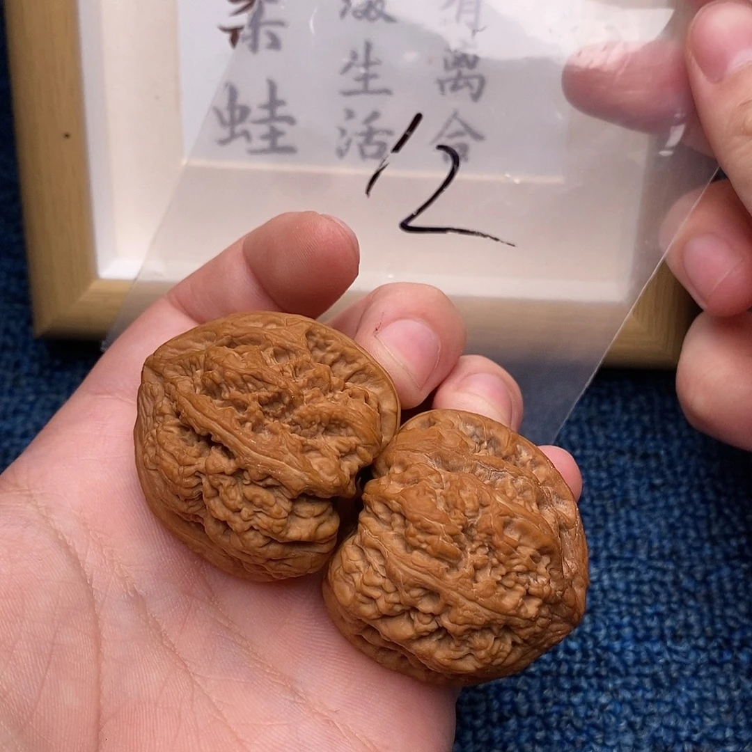 文玩核桃把件粗筋40尺全品,