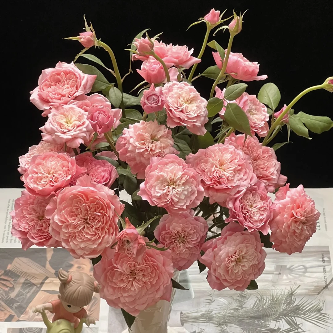 两件包邮！多头美琴10支(20％以内不售后)