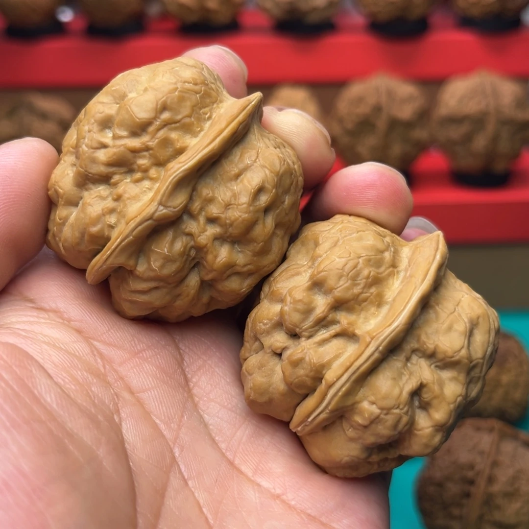 核桃金蟾疙瘩包42尺