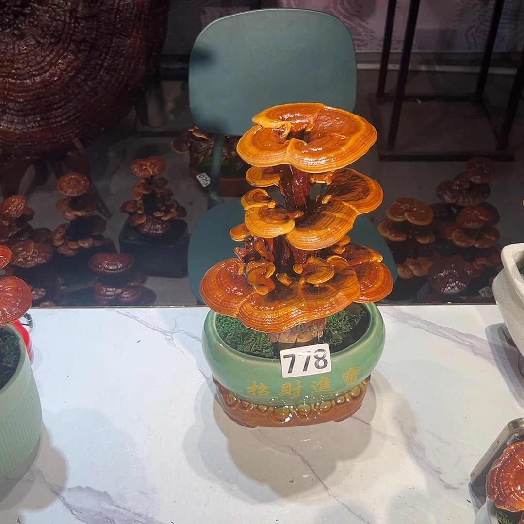 心***乡无花朵88888888888