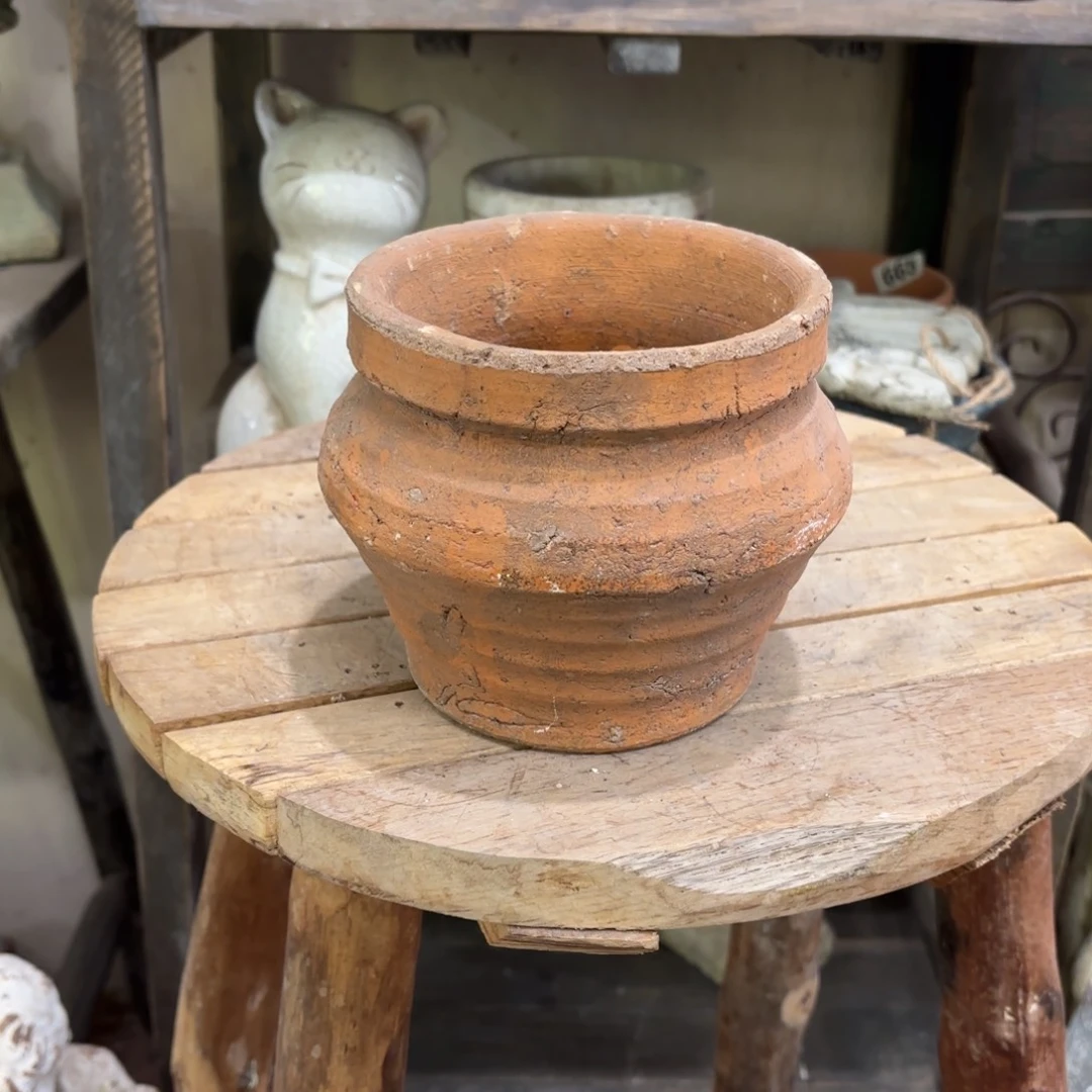 许纯的花房 孤品130