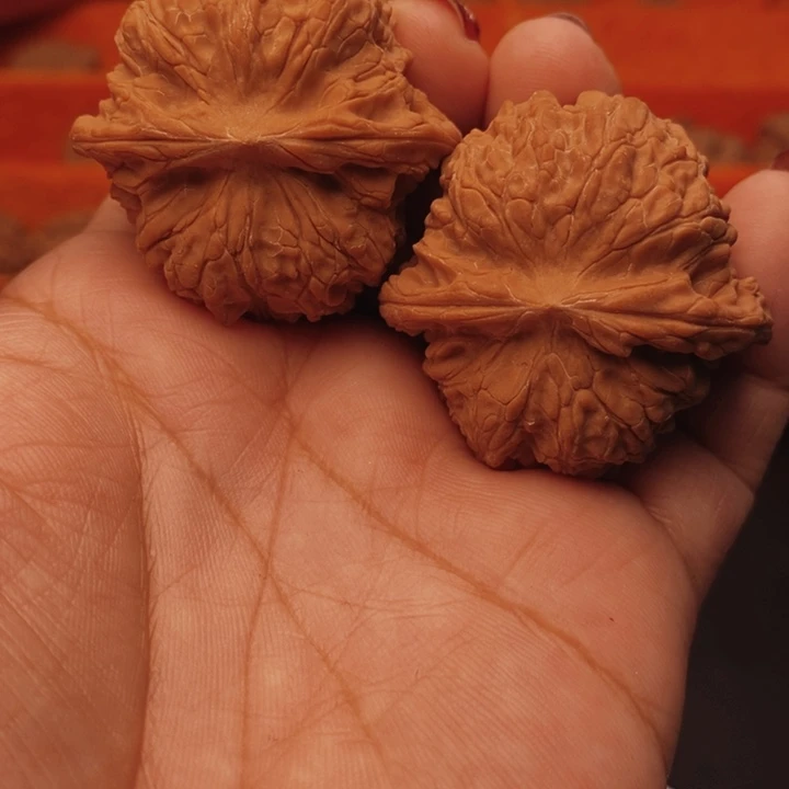 双***彬核桃血麒麟40尺核桃