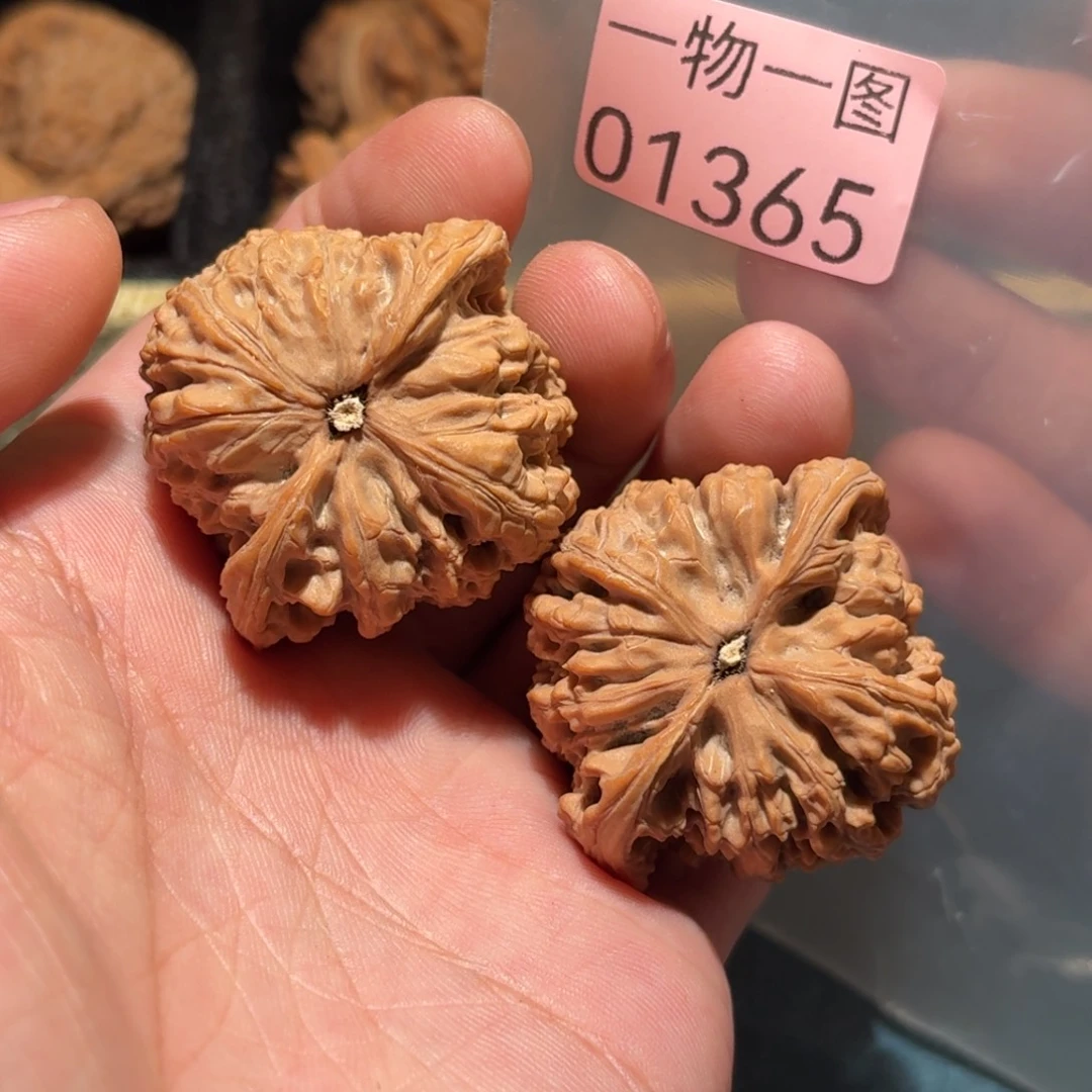 文玩核桃把件承德秘闻