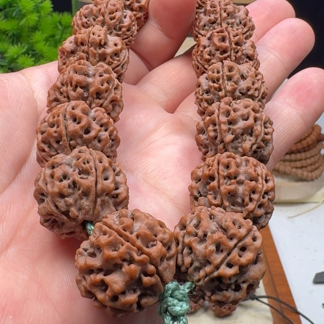 金刚菩提手串梁蜂王老籽