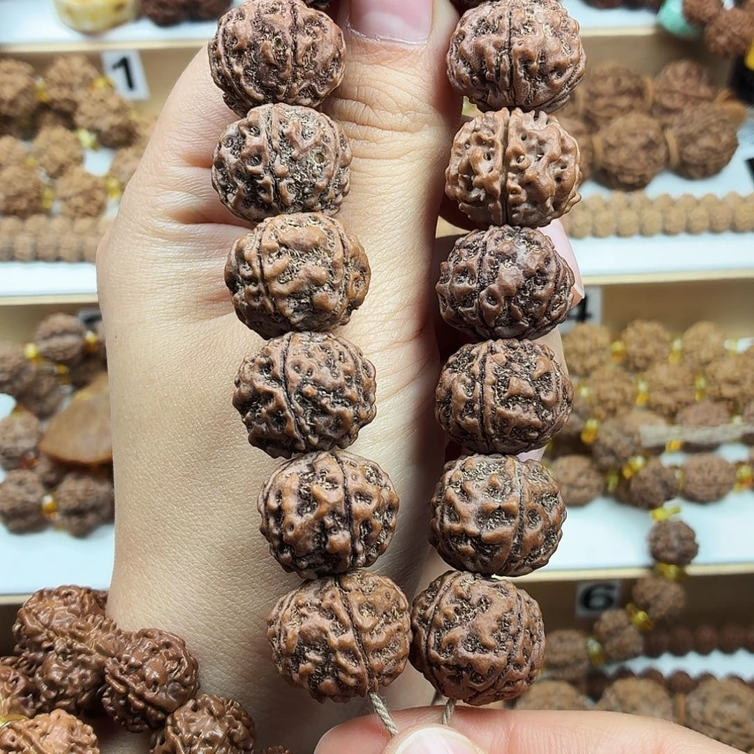 手串金刚菩提稀有精品梅花千金盘龙