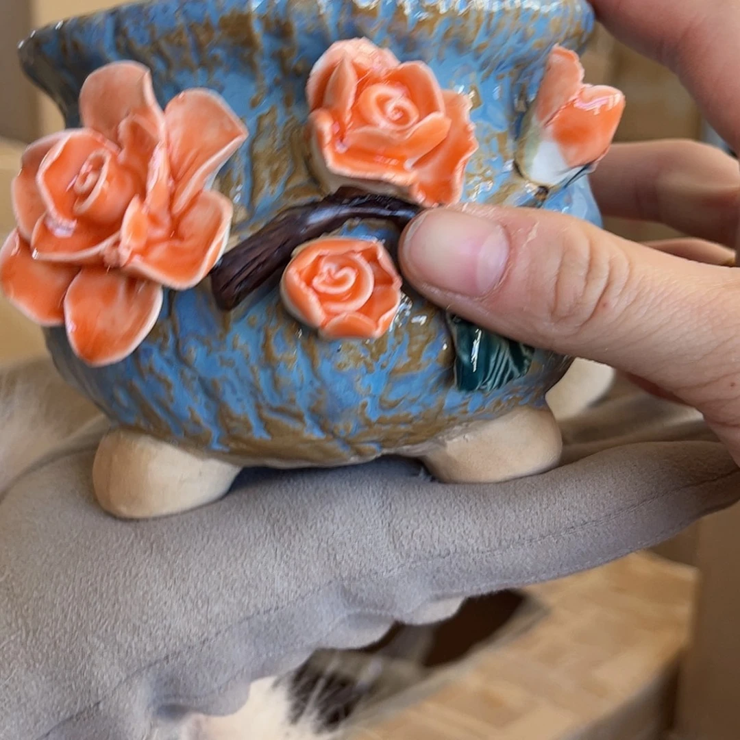 【闪购商品】红陶福利