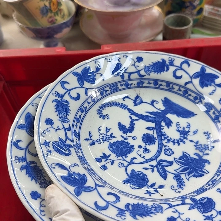 碟开播啦….开播啦