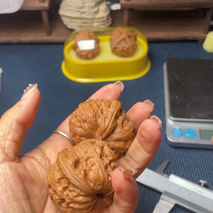 有***猫核桃44元宝全品无修