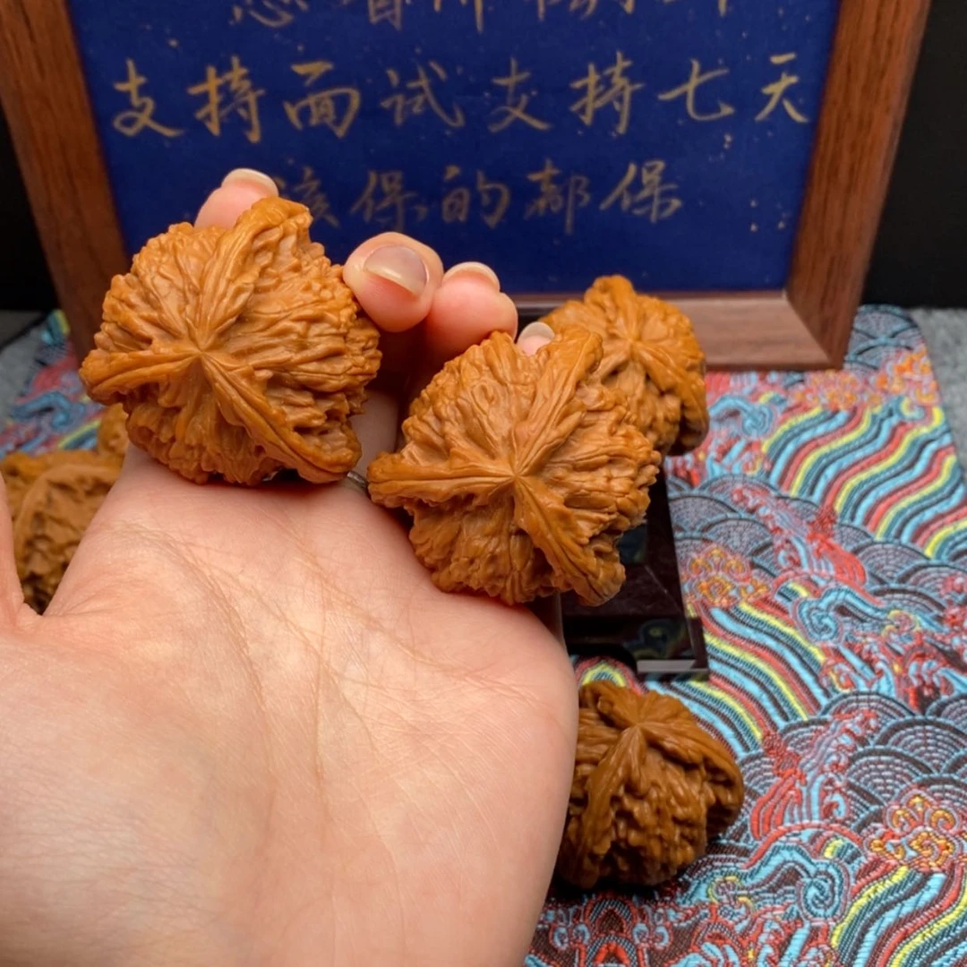 【闪购商品】–白狮