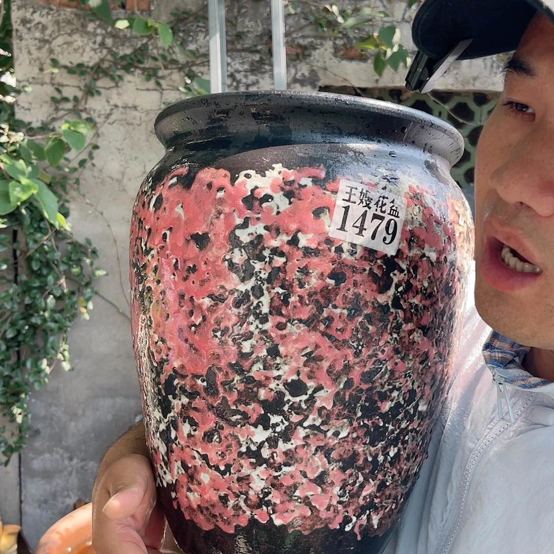 王嫂花盆直播0605-1479