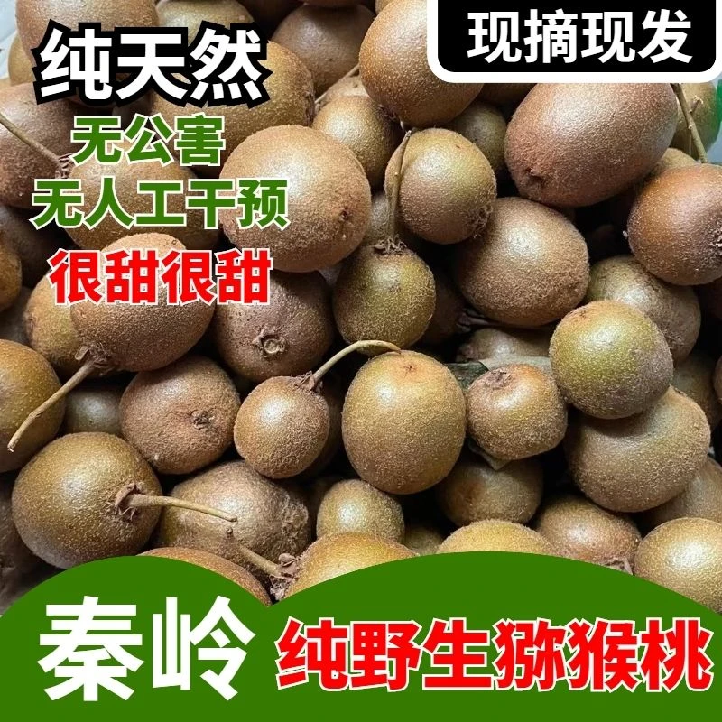陕西秦岭正宗野生猕猴桃水果绿心奇异果泡酒小迷糊桃新鲜顺丰包邮