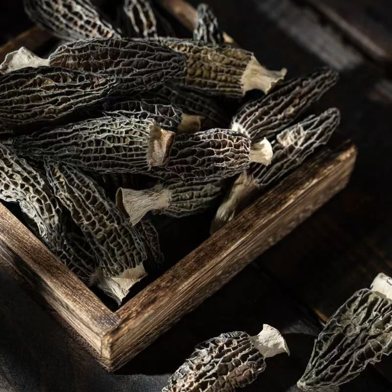 （阿丹山货推荐）羊肚菌