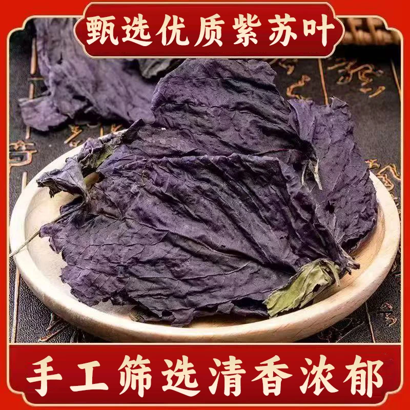 紫苏叶新鲜食用材全茎叶干货解暑去腥天然香料常备可泡茶煲汤炒菜