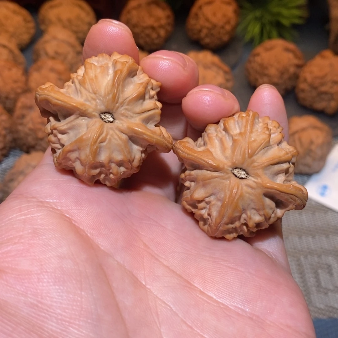 41尺 全品无修白茬 图图