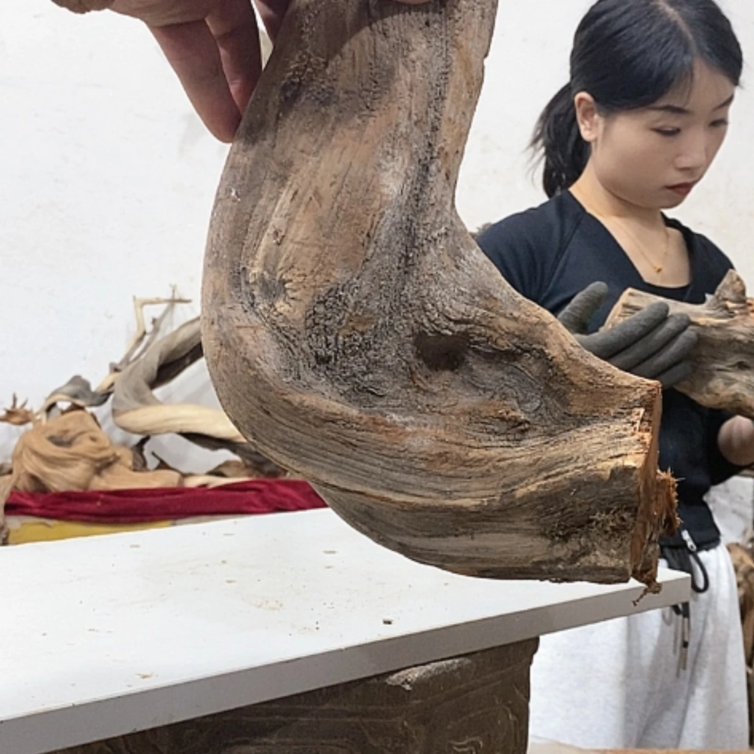 【闪购商品】柏木精****》我们都是好孩子