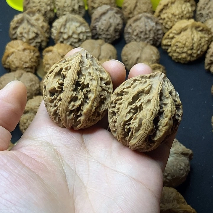 文玩核桃   霸王龙