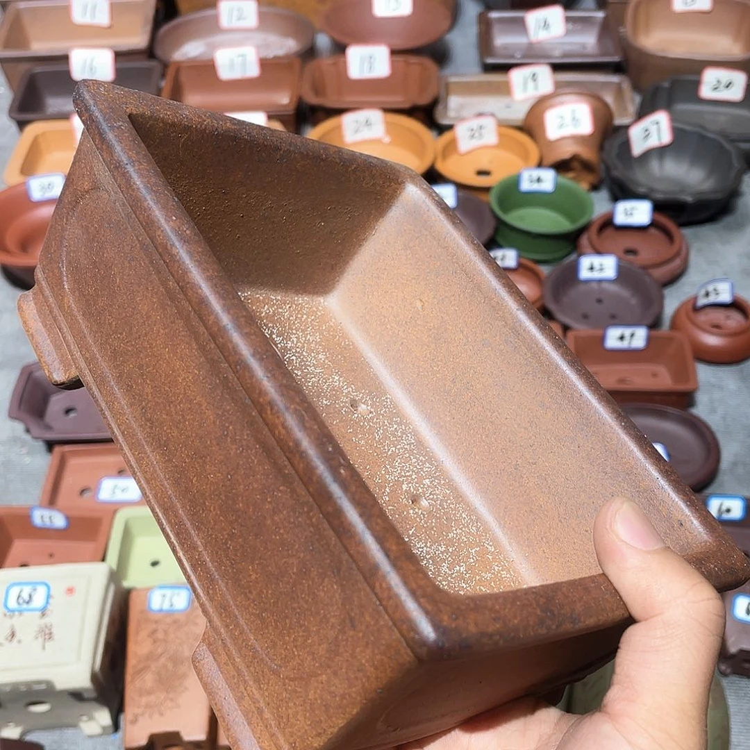 紫砂小盆16.5*12*5 .5