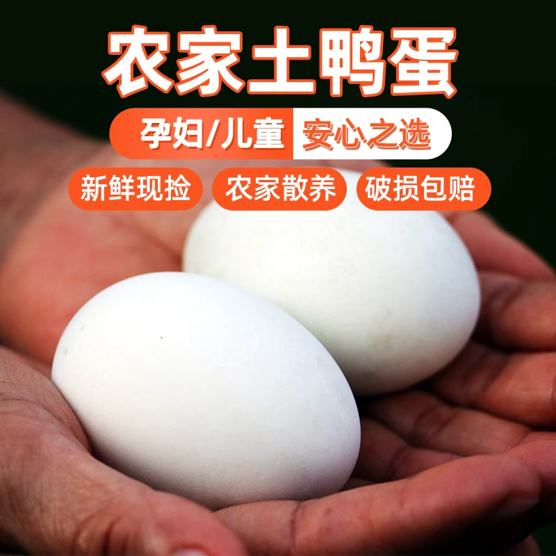 100%正宗土鸭蛋鄱阳湖农家湖边散养五谷麻鸭蛋新鲜营养批发包邮