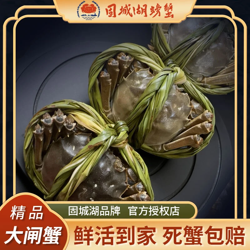 【活蟹】老王家固城湖大闸蟹 母2.8两一只