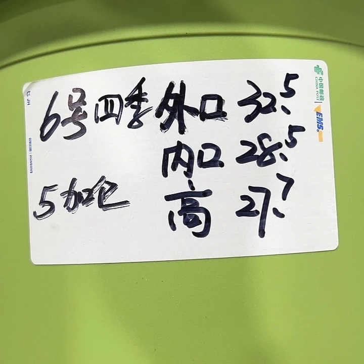 四季6号特价果绿色5个无托